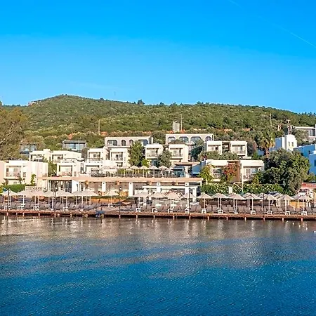 Trendlife Torba Hotel Gümbet