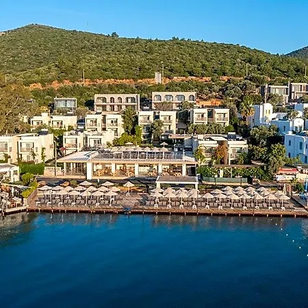Hotel Trendlife Torba *
