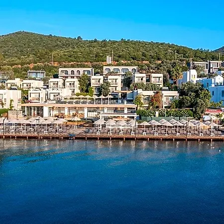 Otel Trendlife Torba *